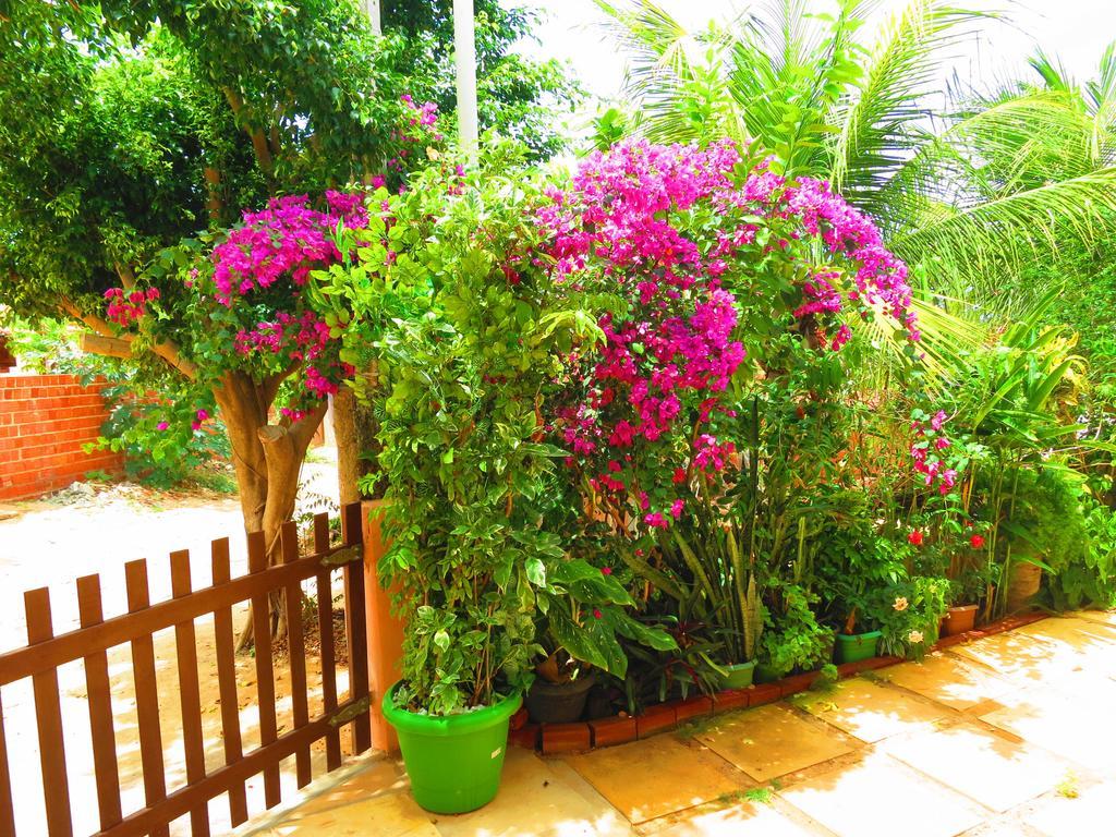 Bela Vista Canoa Quebrada Exterior foto